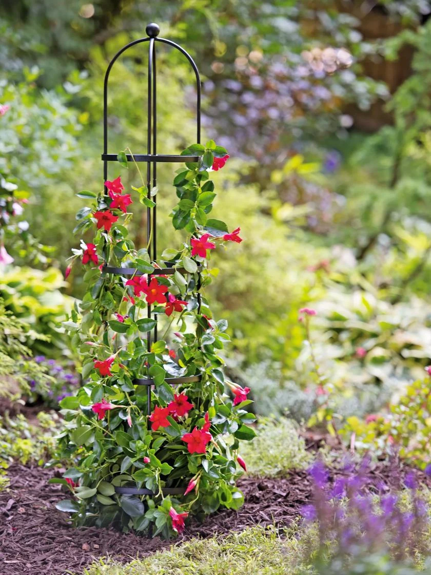 Essex Round Trellises - Image 6