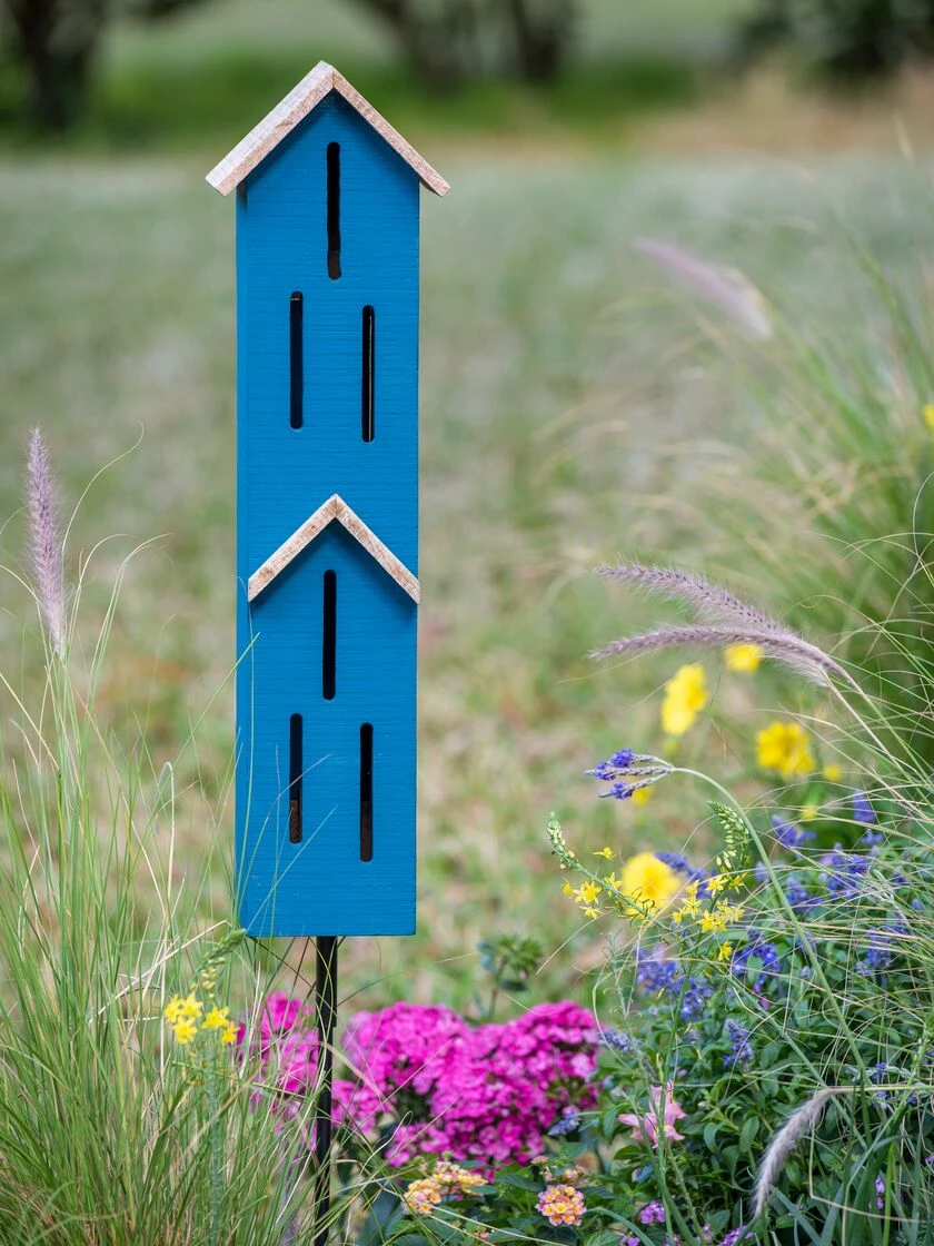 Butterfly Townhouse Shelter - Image 4