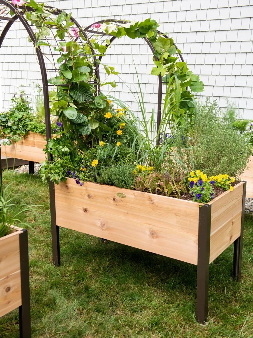 2’ X 4’ Arch Trellis For Planter Boxes - Image 6