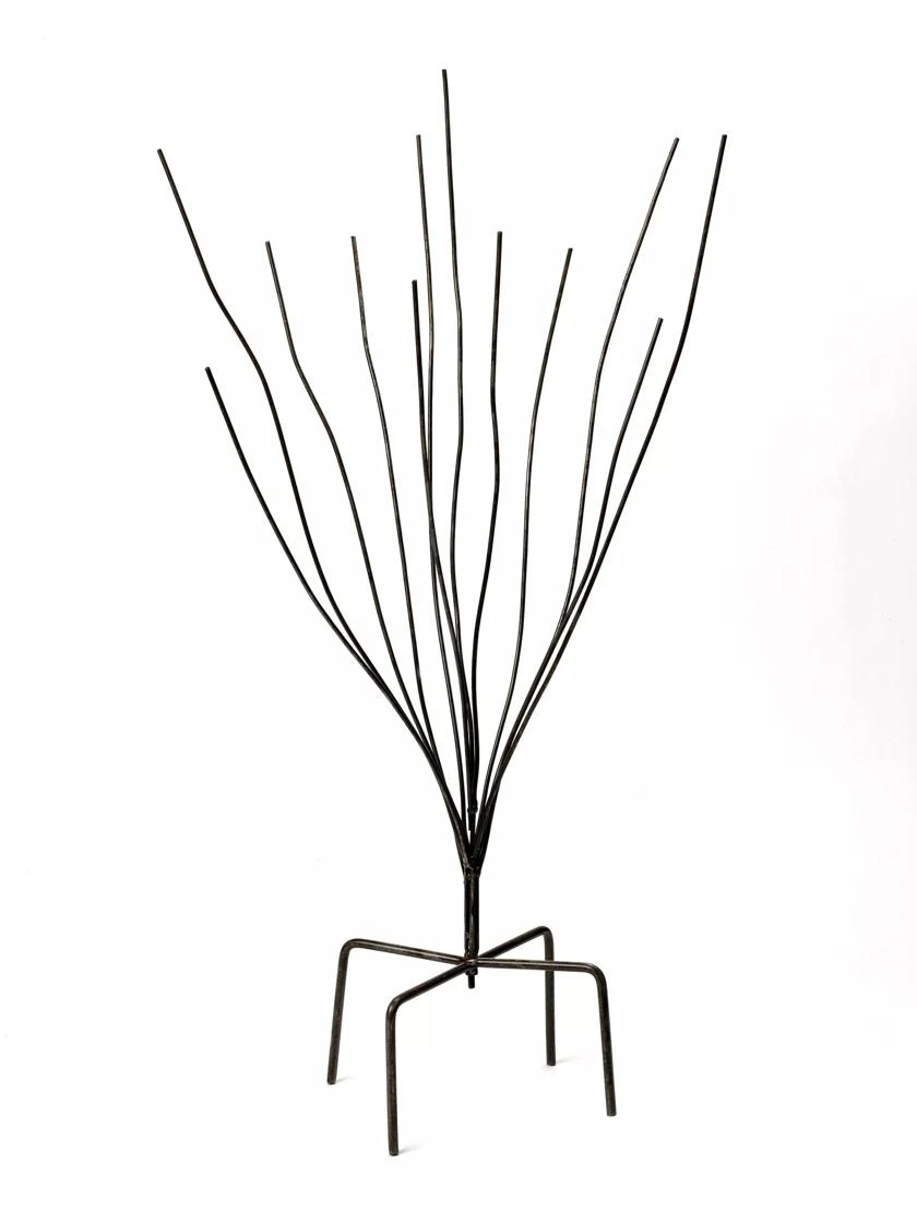 Bottle Bush - Image 3