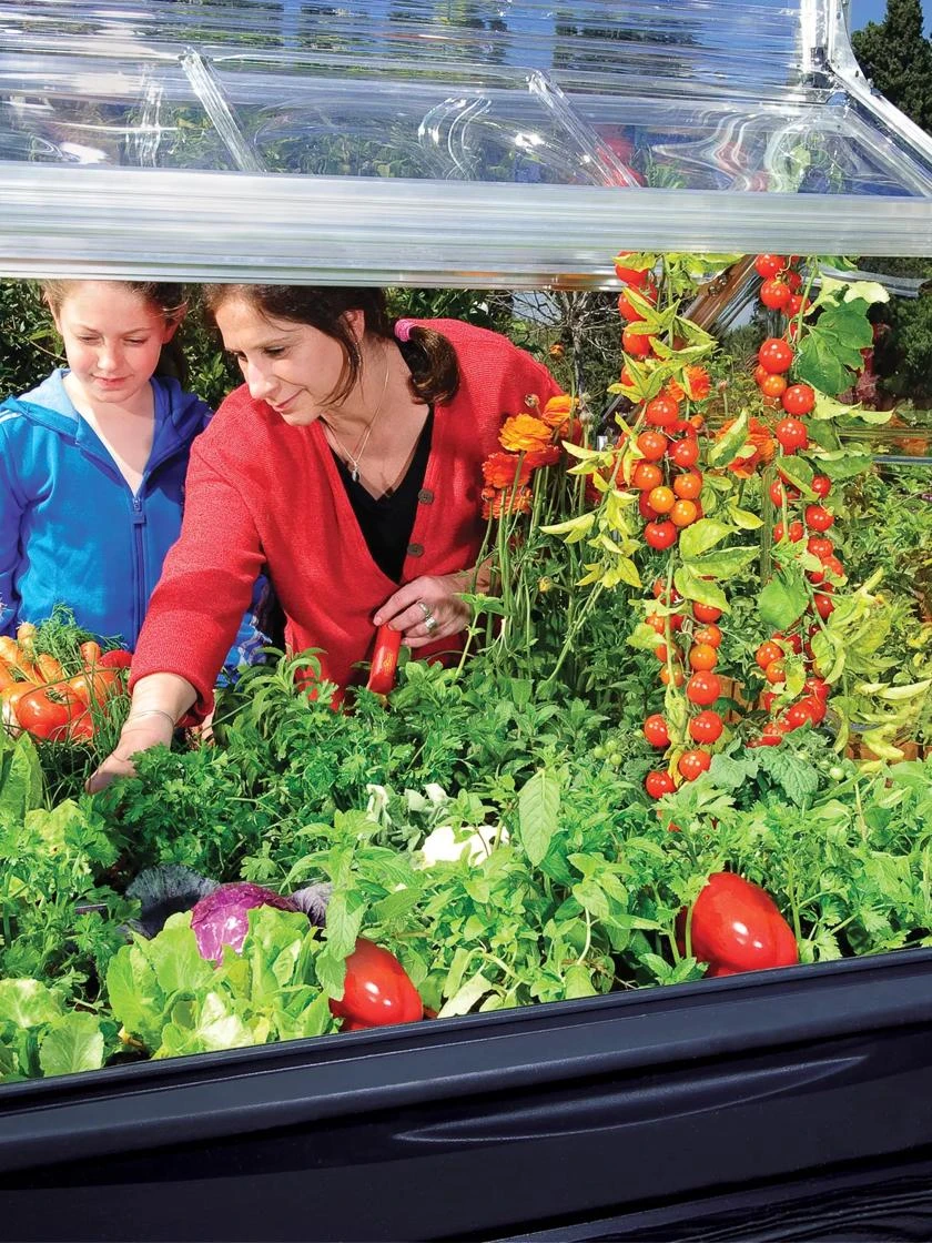 Canopia® By Palram Plant Inn™ Raised Bed Greenhouse, 4' X 4' - Image 14