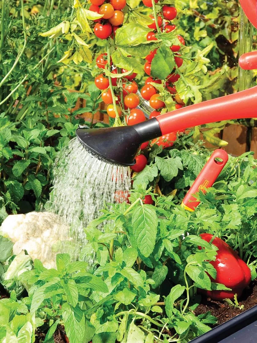 Canopia® By Palram Plant Inn™ Raised Bed Greenhouse, 4' X 4' - Image 9