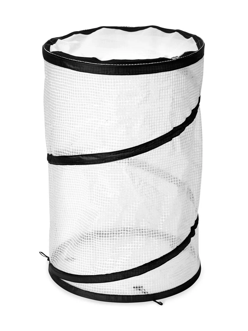 Pop-Up Tomato Accelerator - Image 4