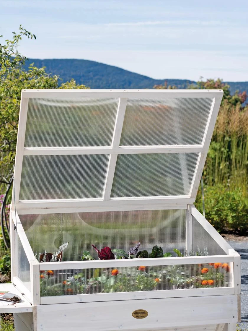 Cold Frame For Compact VegTrug® - Image 2