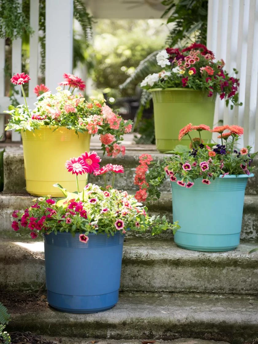 Eezy Gro Self-Watering Planters - Image 5