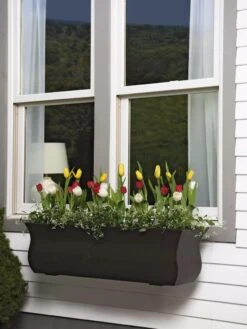 Valencia Window Box, 3'