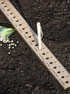 Intervale Seed And Plant Spacing Ruler
