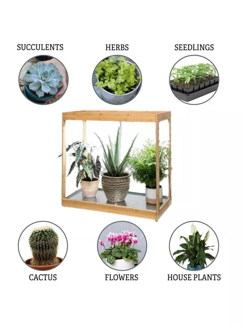 Medium Bamboo LED Grow Light Garden - Image 6