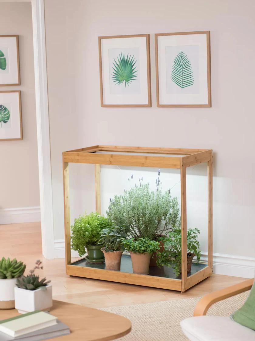 Medium Bamboo LED Grow Light Garden - Image 13