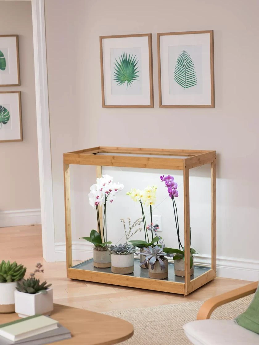 Medium Bamboo LED Grow Light Garden - Image 8