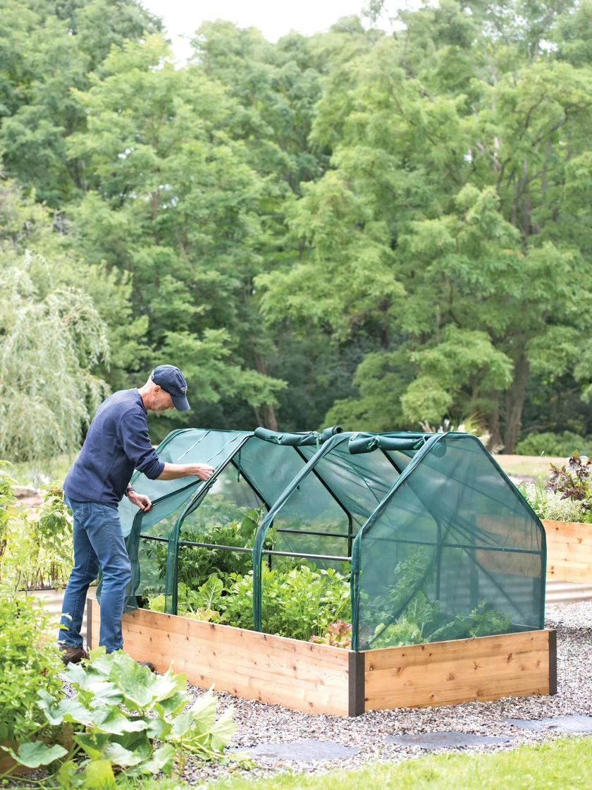 3-Season Plant Protection Tent, 4' X 8' - Image 4