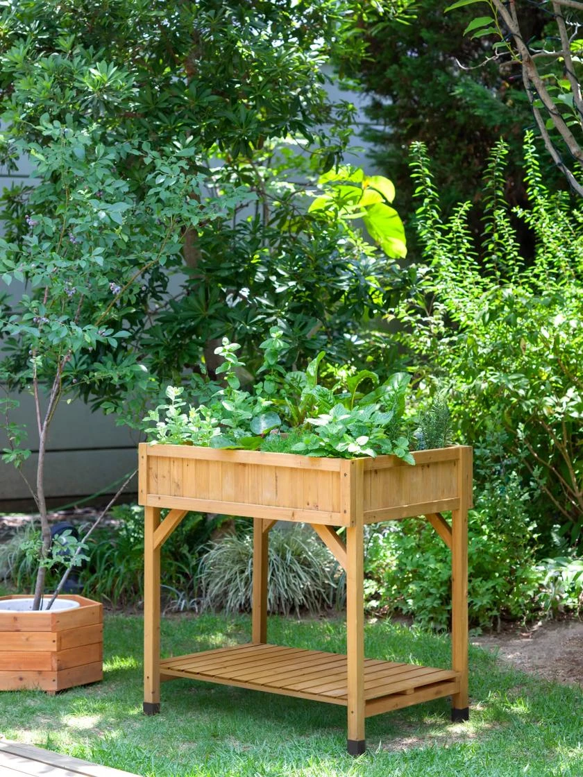 VegTrugĀ® Herb Planter Box - Image 6