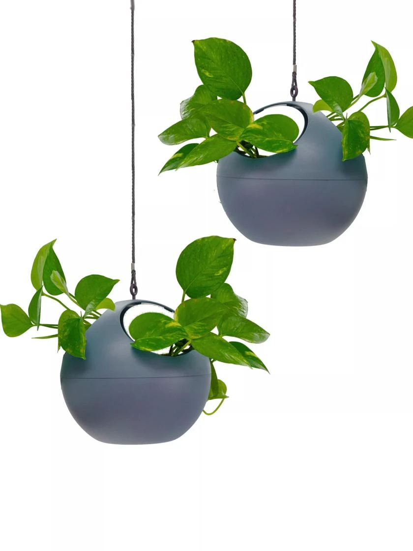 Exaco Euro Hanging Planters, Set Of 2 - Image 4
