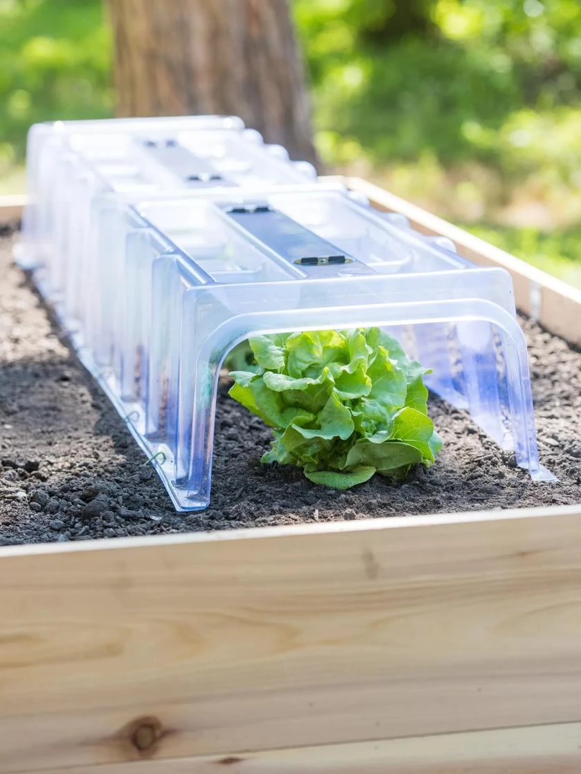 Cool Weather Row Cloche Centers, Set Of 3 - Image 2