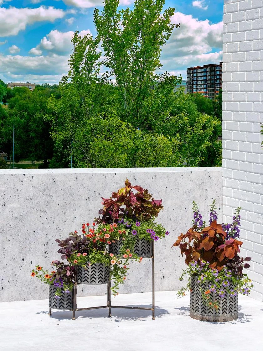 Galvanized Grow Bag Planter 12" - Image 5