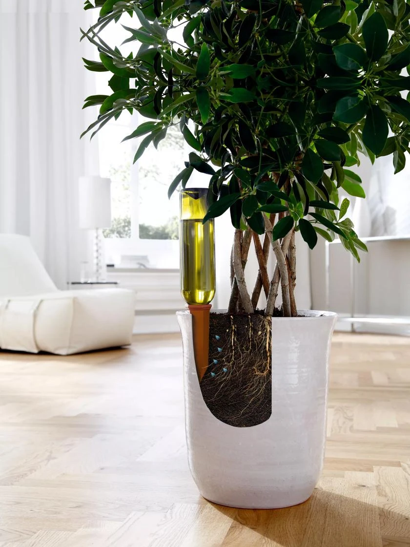 Hydro Wine Container Watering System, Set Of 4 - Image 6