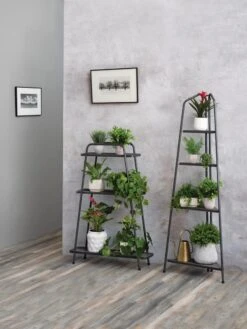Modern Metal Plant Shelves