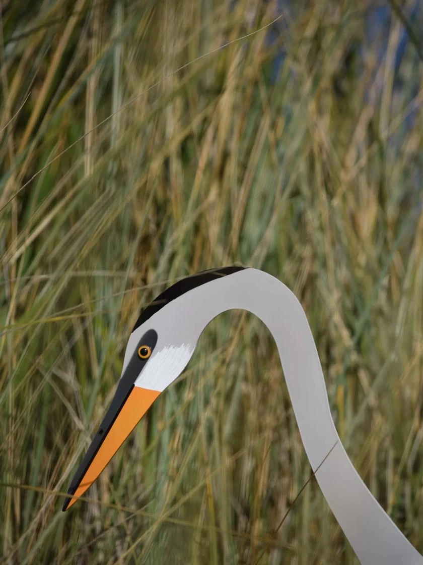 Florida Dancing Birds®, Great Blue Heron - Image 3