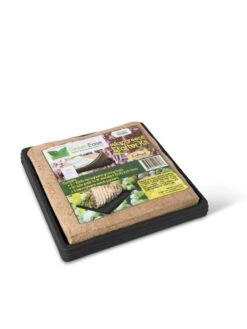 Jute Microgreen Starter Set