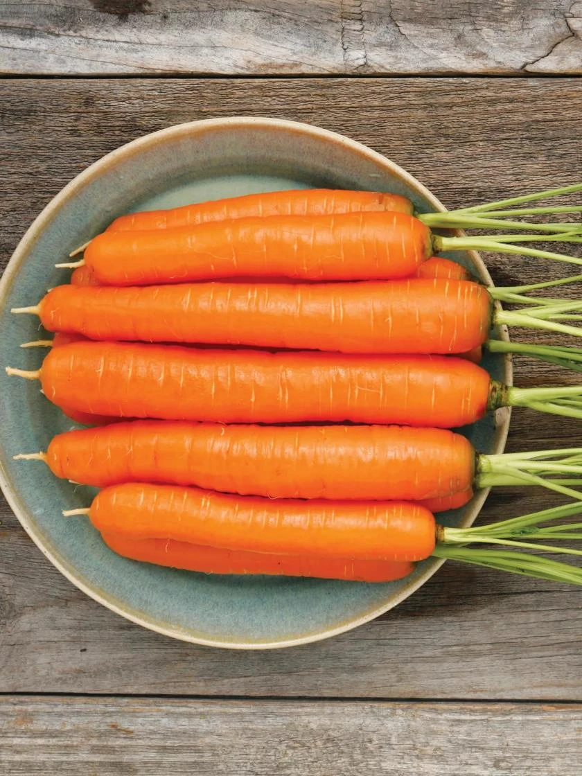 Family Garden Organic Seed Collection, Set Of 7 - Image 2