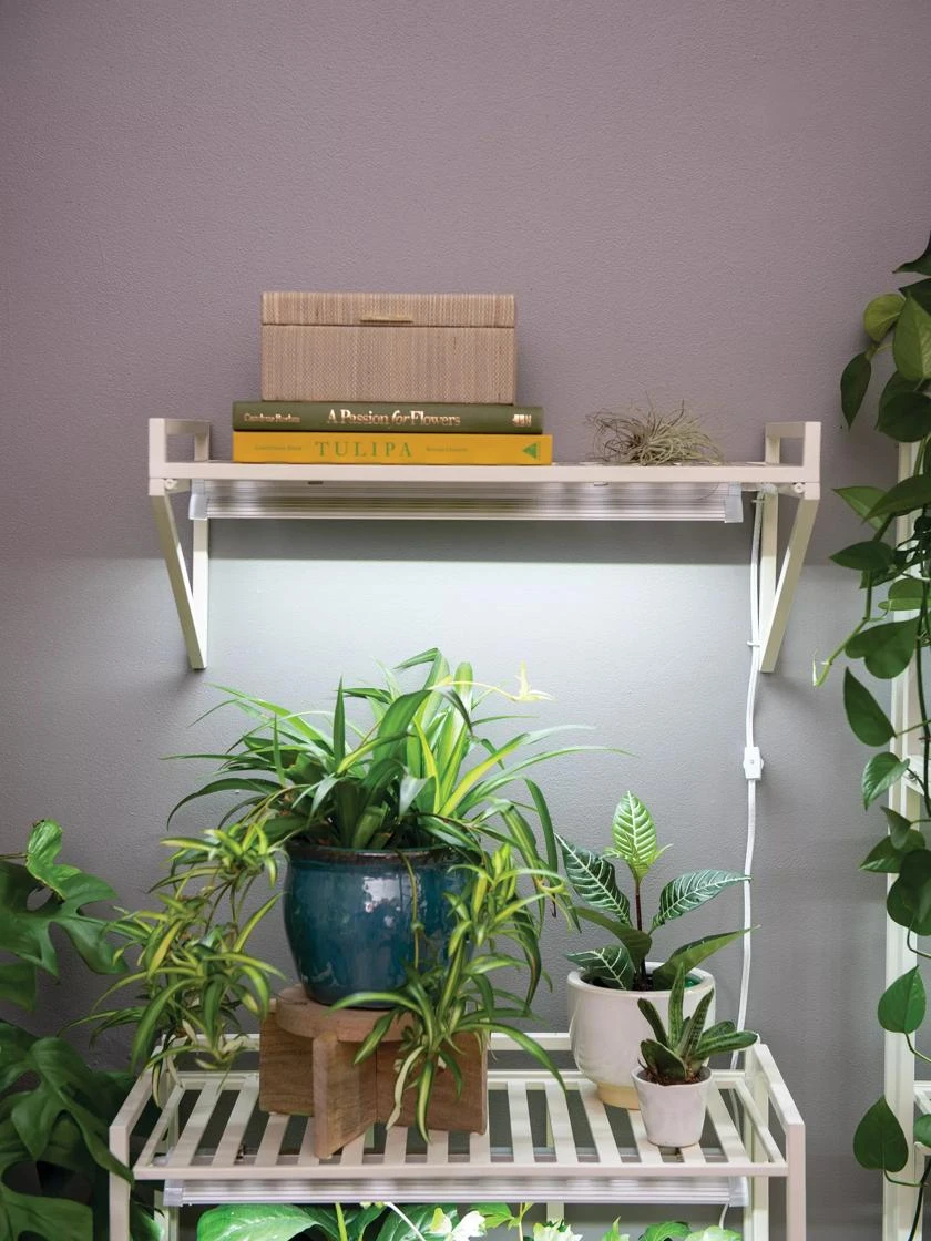 Oslo LED Grow Light Wall Shelf - Image 2