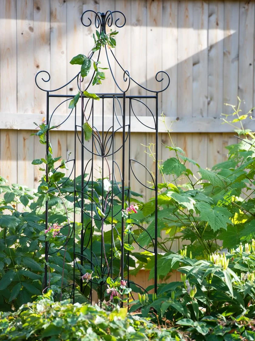 4 Sided Leaf Obelisk, 72"