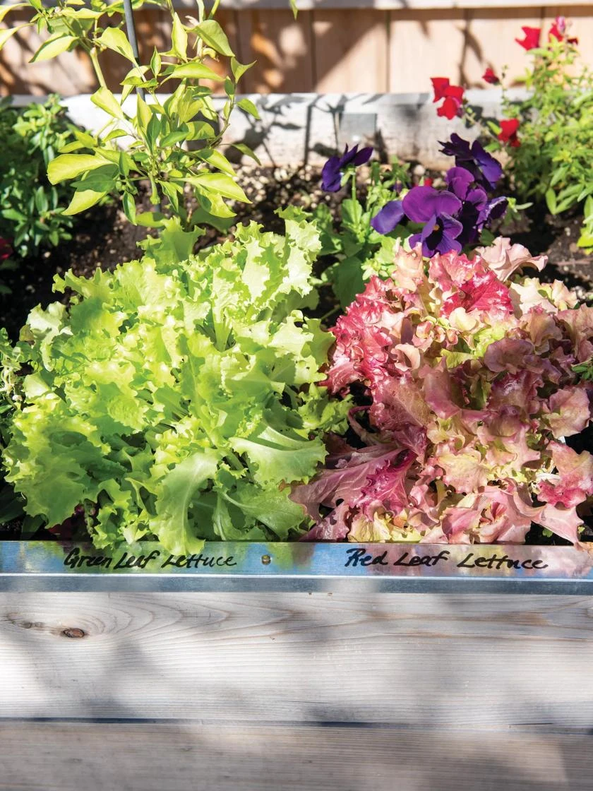 Re-Markable Raised Bed Trim - Image 4