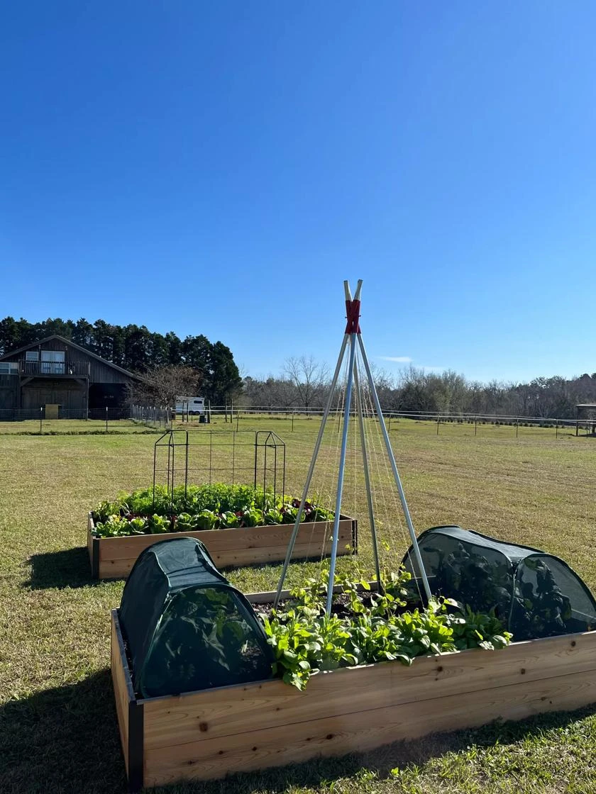 Insect And Pest Net Row Protector - Image 3