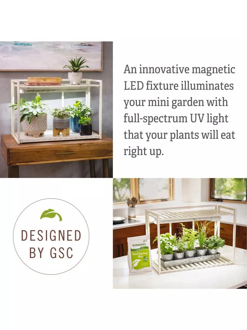 Tabletop Grow Kit - Image 4