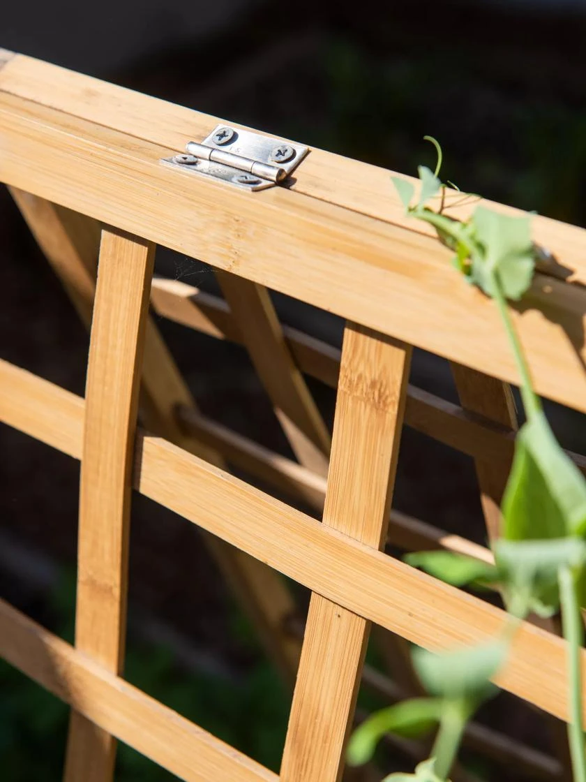 Bambo A Frame Plant Support, 30" X 42.5" - Image 5