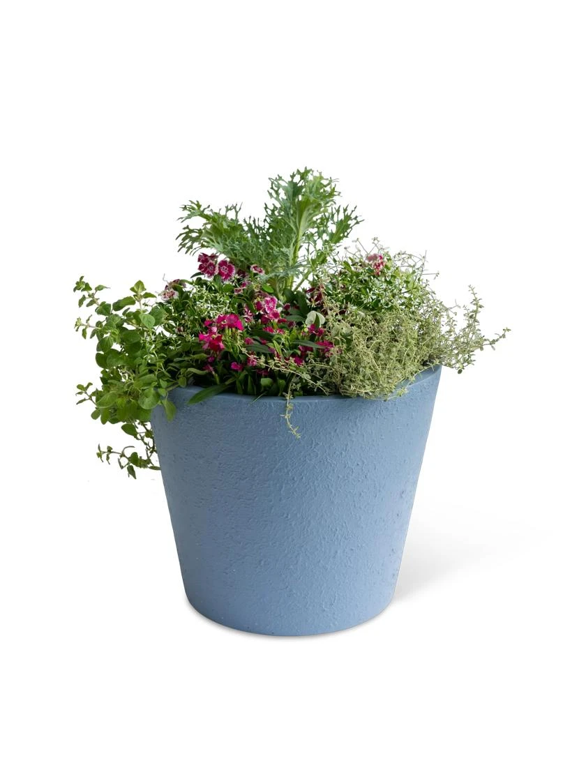 Self-Watering FiberStone Planters - Image 6