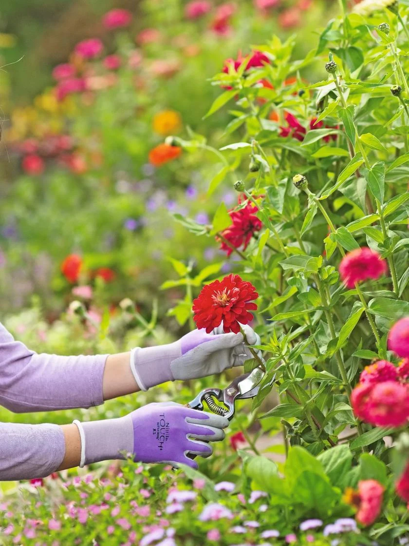 Nitrile Gloves - Image 2