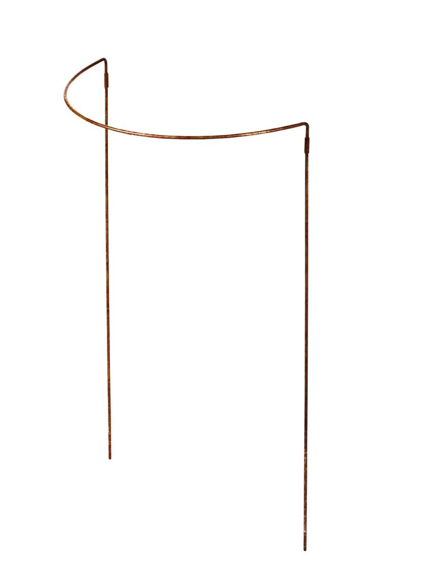 Jardin Half-Round Plant Supports, Set Of 2 - Image 2